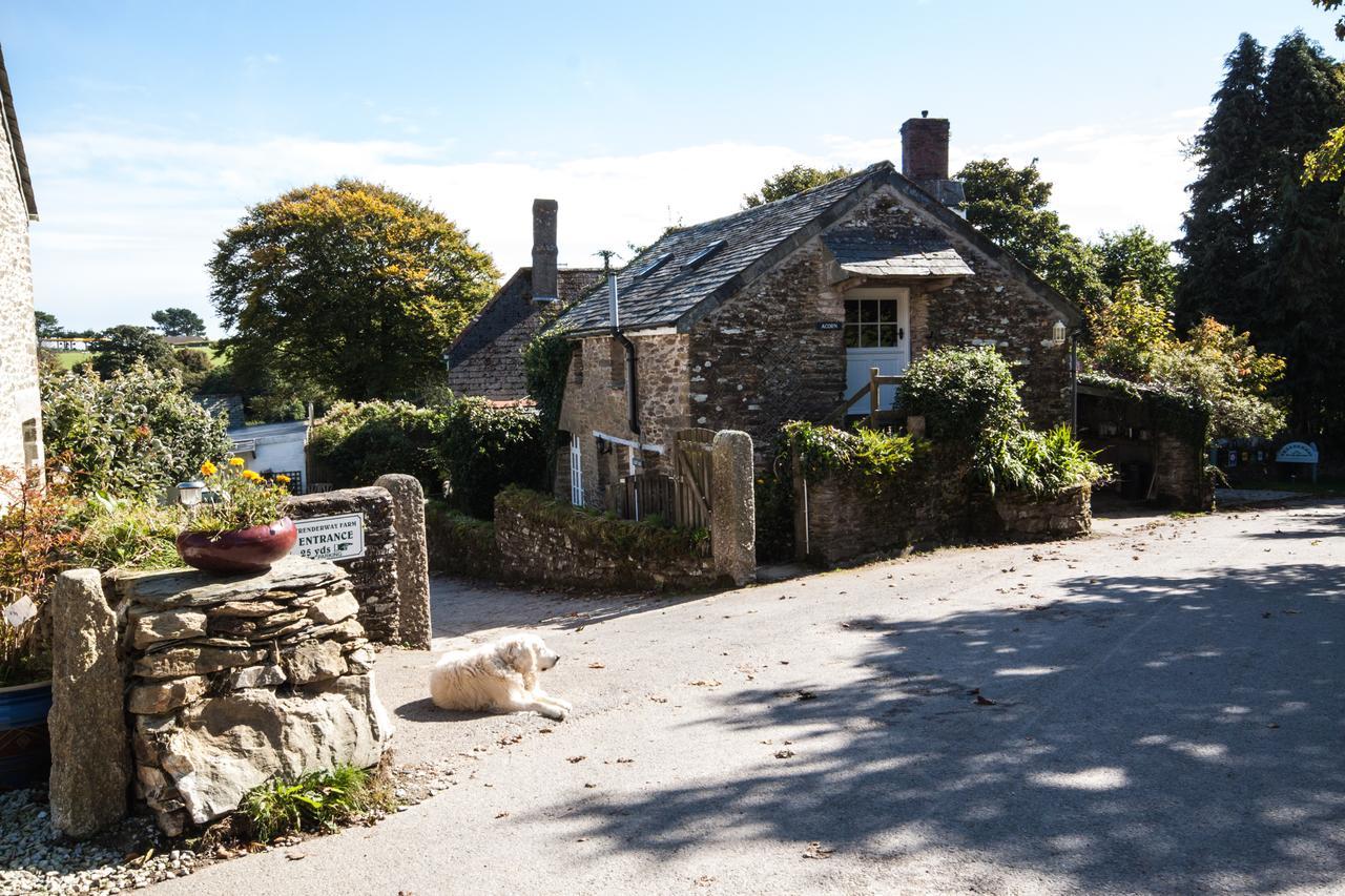 ルー Trenderway Farm Bed & Breakfast エクステリア 写真