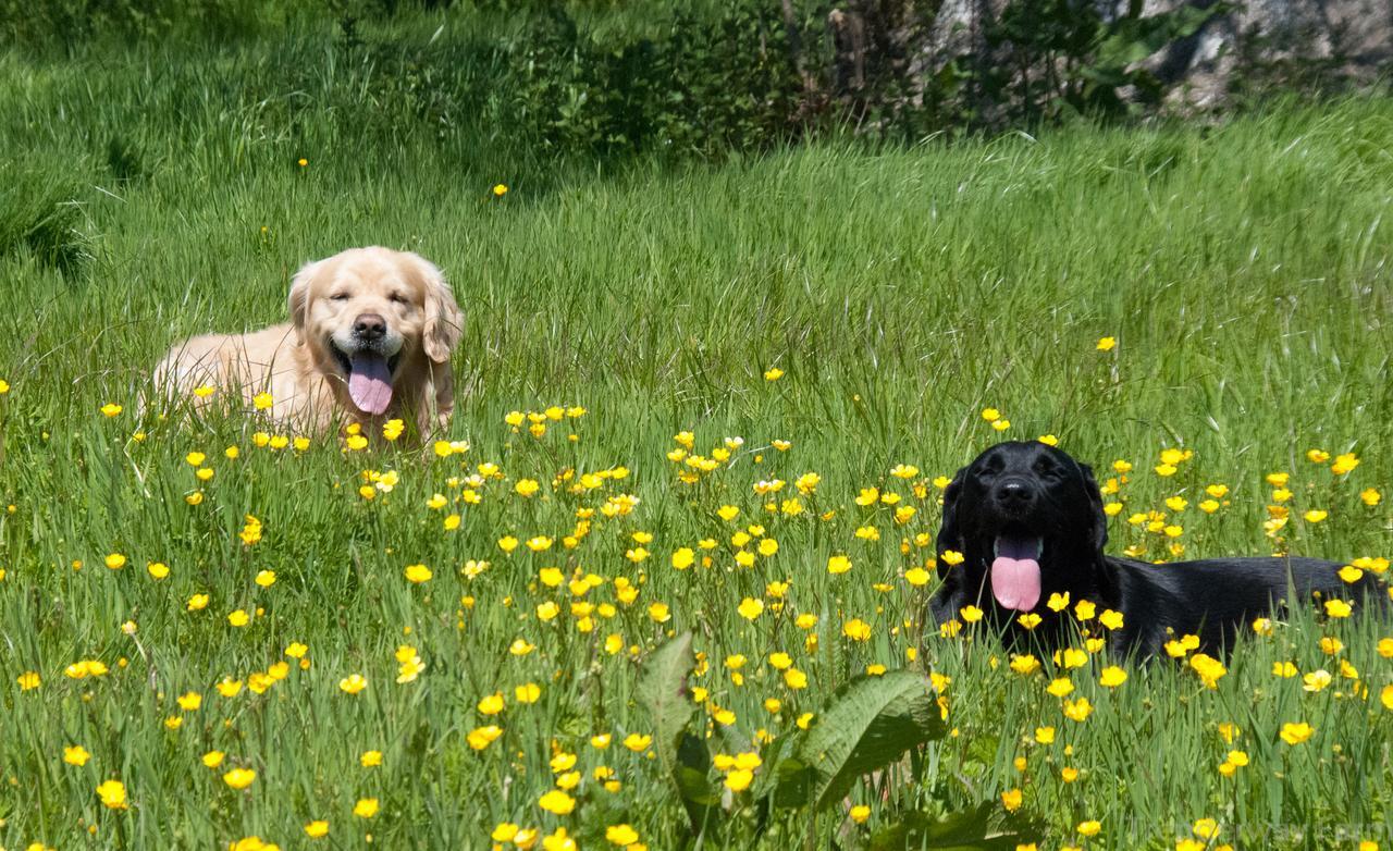 ルー Trenderway Farm Bed & Breakfast エクステリア 写真