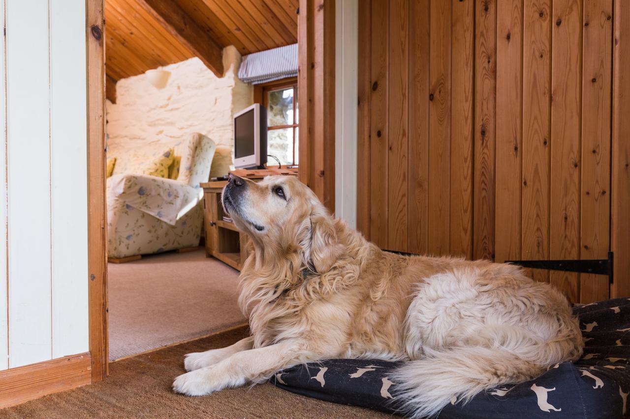 ルー Trenderway Farm Bed & Breakfast エクステリア 写真