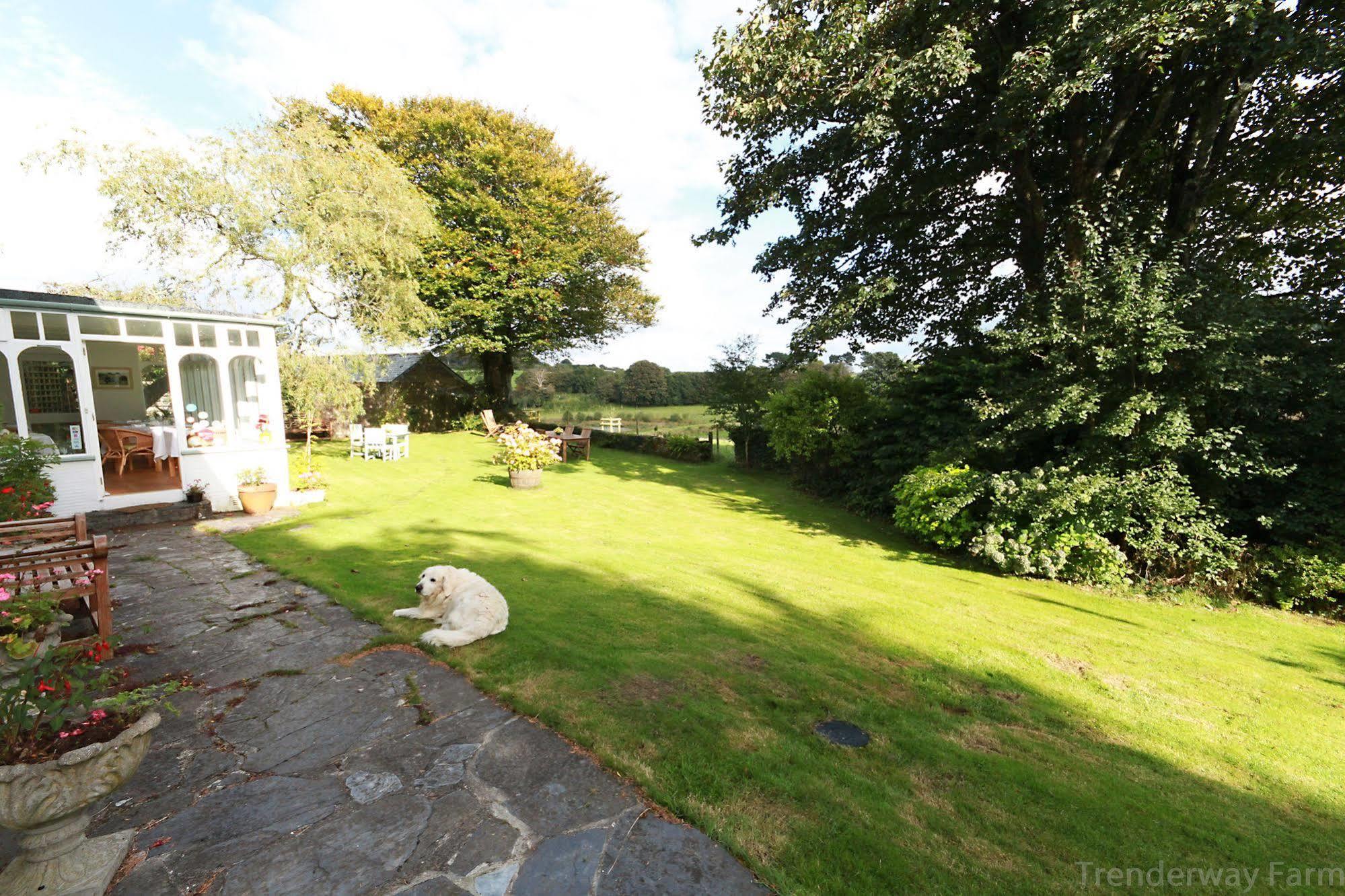 ルー Trenderway Farm Bed & Breakfast エクステリア 写真