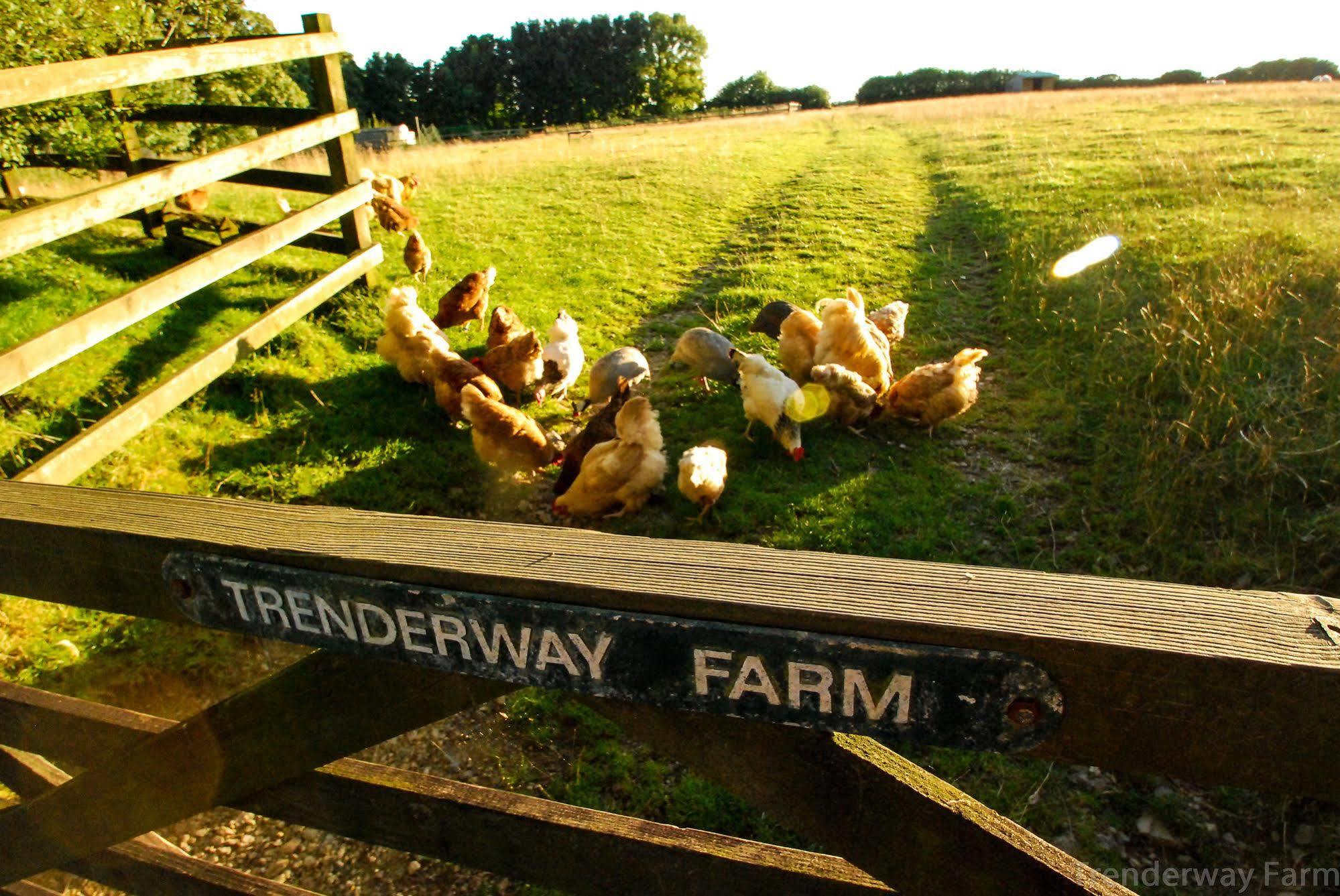 ルー Trenderway Farm Bed & Breakfast エクステリア 写真