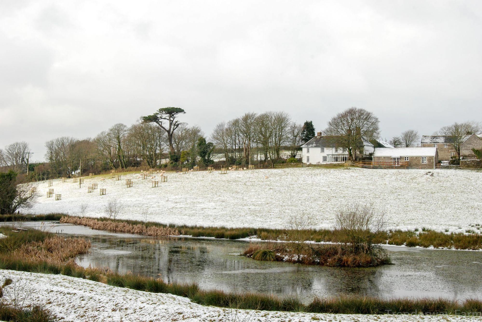 ルー Trenderway Farm Bed & Breakfast エクステリア 写真